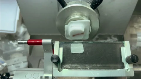 Cutting frozen tissue on a cryostat. Preparing histology sample for microscopy. Video stock 171302172