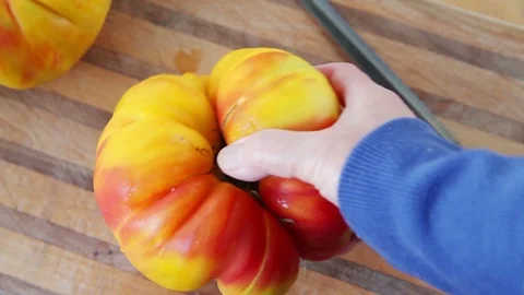 Cutting a giant tomato Stock Footage 98548975
