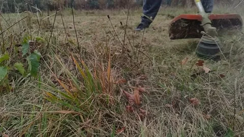 Cutting grass with a brush cutter Stock Footage 219237158