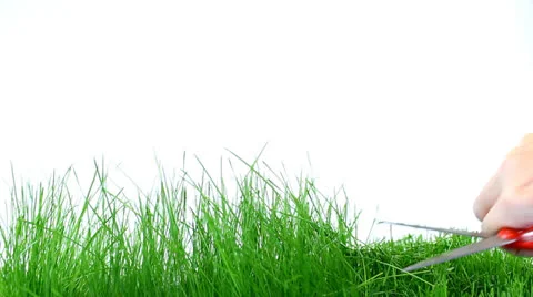 Cutting Grass Stockbeeldmateriaal 22692703