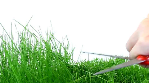 Cutting Grass Stock Footage 22692820