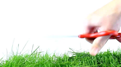Cutting Grass Stock-Footage 22692929