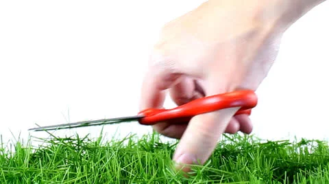Cutting Grass Stock Footage 22692937