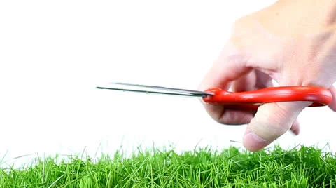 Cutting Grass Stock Footage 22692961