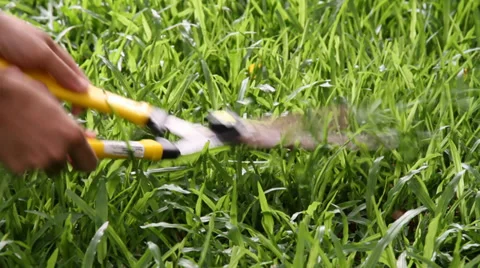 Cutting Grass Stock Footage 31459577