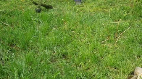 Cutting the grass Stock Footage 63546808