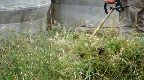 Cutting the grass Stock Footage 68829117