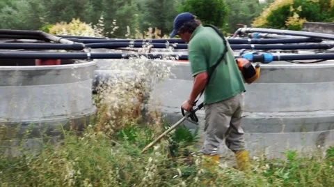 Cutting the grass Stock Footage 68829151