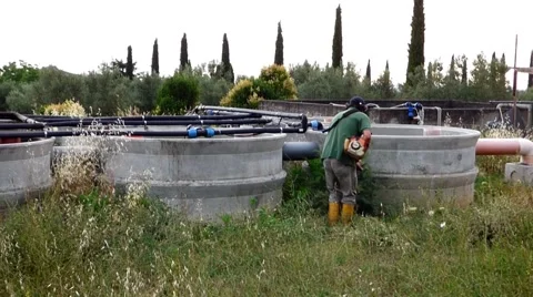 Cutting the grass Stock Footage 68829350