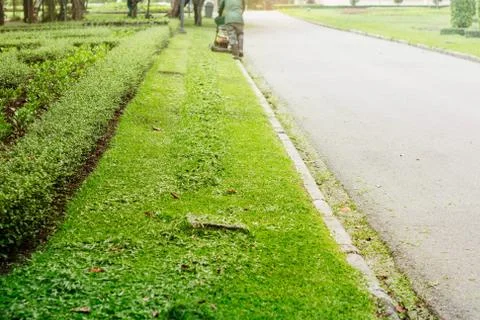 Cutting grass in garden. Foto stock
