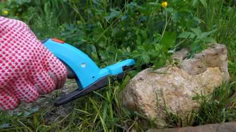 Cutting grass with a hand grass shears between rocks in a garden Video stock 46714481