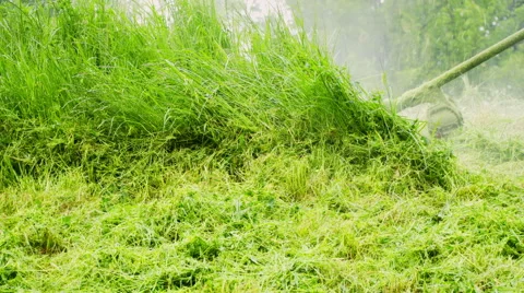 Cutting Grass with a Lawn Mover Stock Footage 63291090