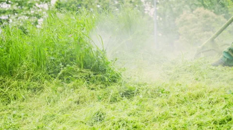 Cutting Grass with a Lawn Mover Stock Footage 63292553