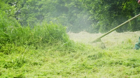 Cutting Grass with a Lawn Mover Stock Footage 63293055