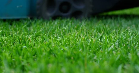 Cutting the grass with the lawn mower, low angle view. Shot on 6K RED camera. Stock Footage 114328224