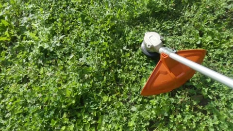 Cutting grass with lawn string trimmer Stockbeeldmateriaal 158459609