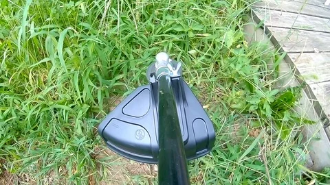 Cutting grass with lawnmower Stock Footage 94598397