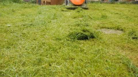 Cutting grass mower head straight into camera Stock Footage 114996105