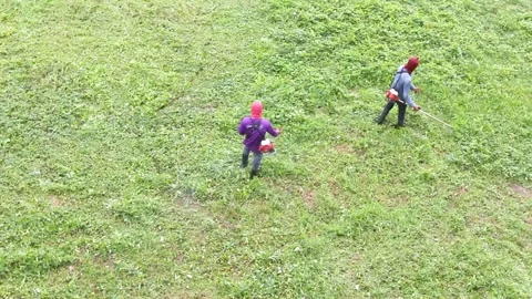 Cutting grass by petrol trimmer, top view Stock Footage 220590780