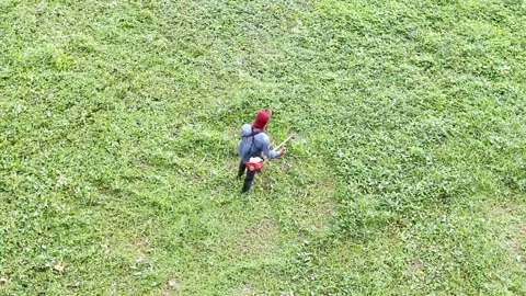 Cutting grass by petrol trimmer,top view Video stock 220590785