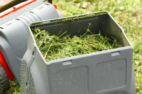 Cutting grass Stock Photos