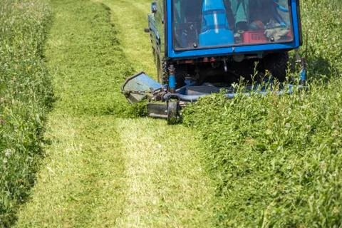 Cutting grass Stock Photos