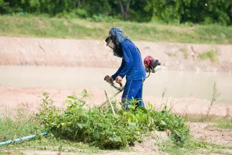 Cutting grass Stock Photos