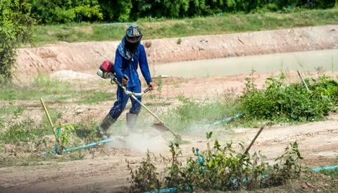 Cutting grass Stock Photos