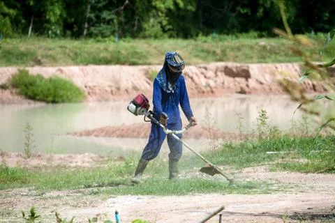 Cutting grass Stock Photos