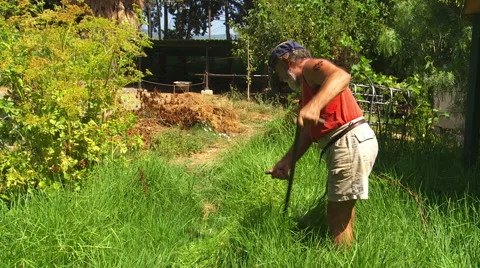 Cutting grass with scythe. Stock-Footage 53308652