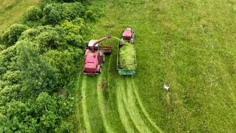 Cutting grass silage at field. Forage harvester on grass cutting for silage 스톡 동영상 203834741