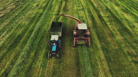 Cutting grass silage at field. Forage harvester on grass cutting for silage Vídeos de archivo 212609123