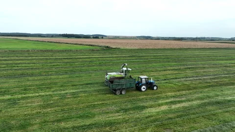 Cutting grass silage at field. Forage harvester on grass cutting for silage Stock Footage 212610949