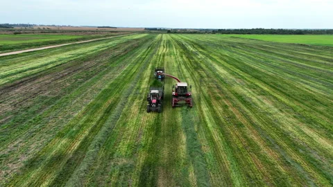 Cutting grass silage at field. Forage harvester on grass cutting for silage 스톡 동영상 212610950