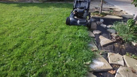 Cutting grass using a lawn mower Video stock 116260194