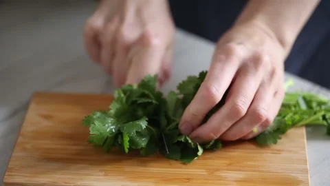 Cutting green coriander Stock Footage 164064722