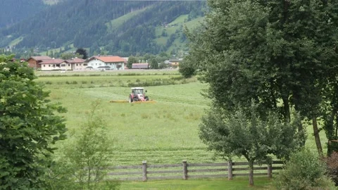 Cutting green grass to make nutritious silage or livestock feed forage Stock Footage 158048164