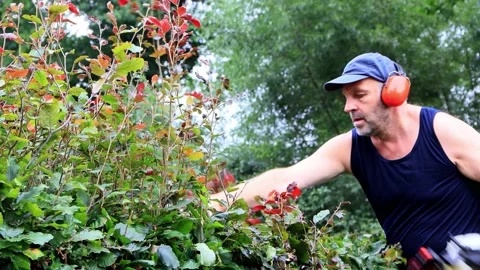 Cutting hedge with engine trimmer, handyman, gardening Stock Footage 226931935
