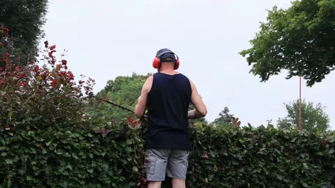 Cutting hedge with engine trimmer, handyman, gardening Stock Footage 226932262