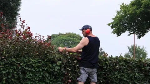 Cutting hedge with engine trimmer, handyman, gardening Stock Footage 246297167