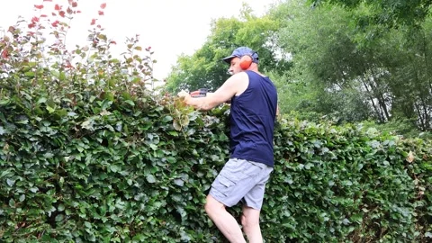 Cutting hedge with engine trimmer, handyman, gardening Stock Footage 246297233