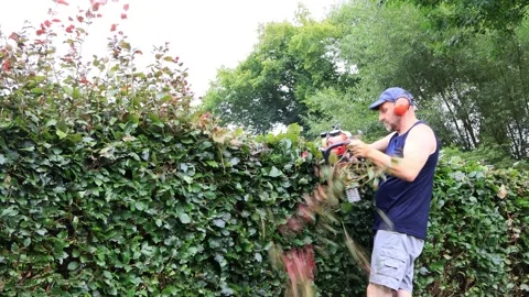 Cutting hedge with engine trimmer, handyman, gardening Stock Footage 246304183