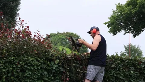 Cutting hedge with engine trimmer, handyman, gardening Video stock 246306410
