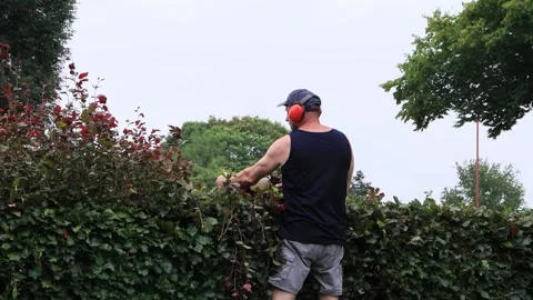 Cutting hedge with engine trimmer, handyman, gardening Video stock 246315016