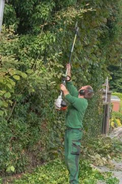 Cutting a hedge Stock Photos