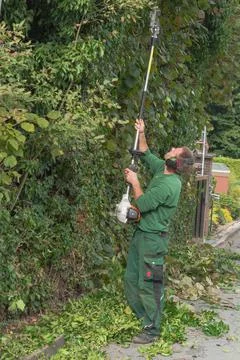 Cutting a hedge Stock Photos