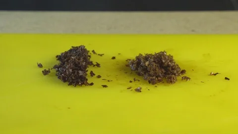 Cutting hookah tobacco on table Stock Footage 102523952
