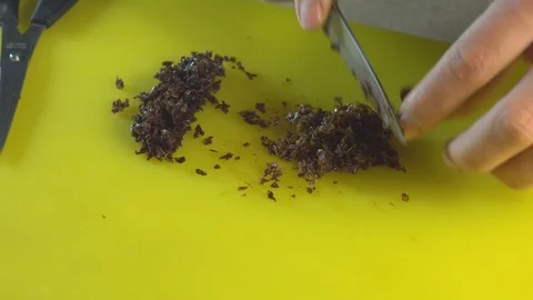 Cutting hookah tobacco on table Stock Footage 102533132