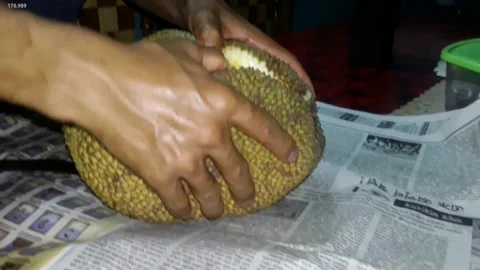 Cutting a Jackfruit Stock Footage 204868380