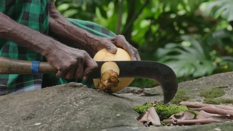 Cutting King Coconut 2 스톡 동영상 288850809